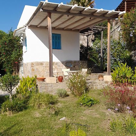 Lemon Tree Cottage Finikounta Dış mekan fotoğraf