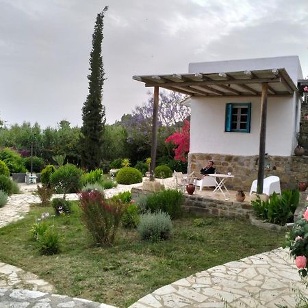 Lemon Tree Cottage Finikounta Dış mekan fotoğraf