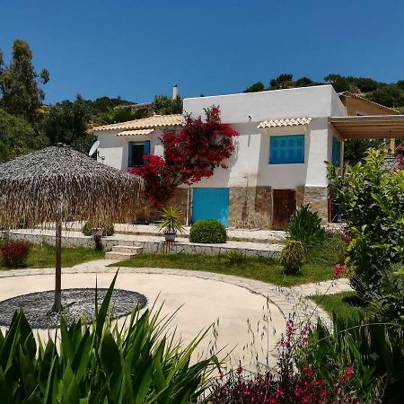 Lemon Tree Cottage Finikounta Dış mekan fotoğraf