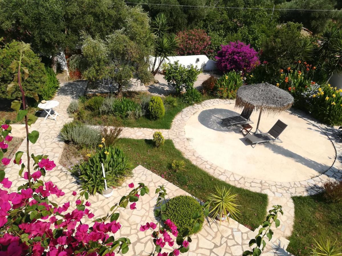 Lemon Tree Cottage Finikounta Dış mekan fotoğraf