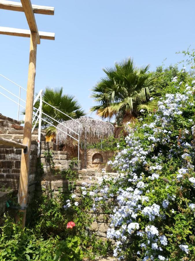 Lemon Tree Cottage Finikounta Dış mekan fotoğraf