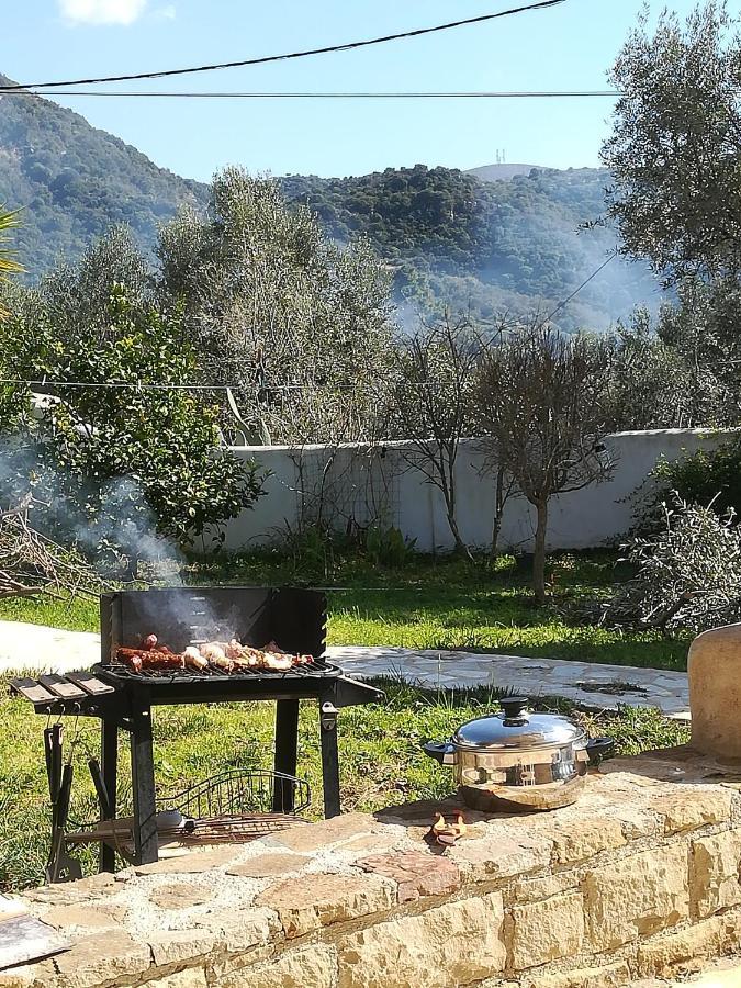 Lemon Tree Cottage Finikounta Dış mekan fotoğraf