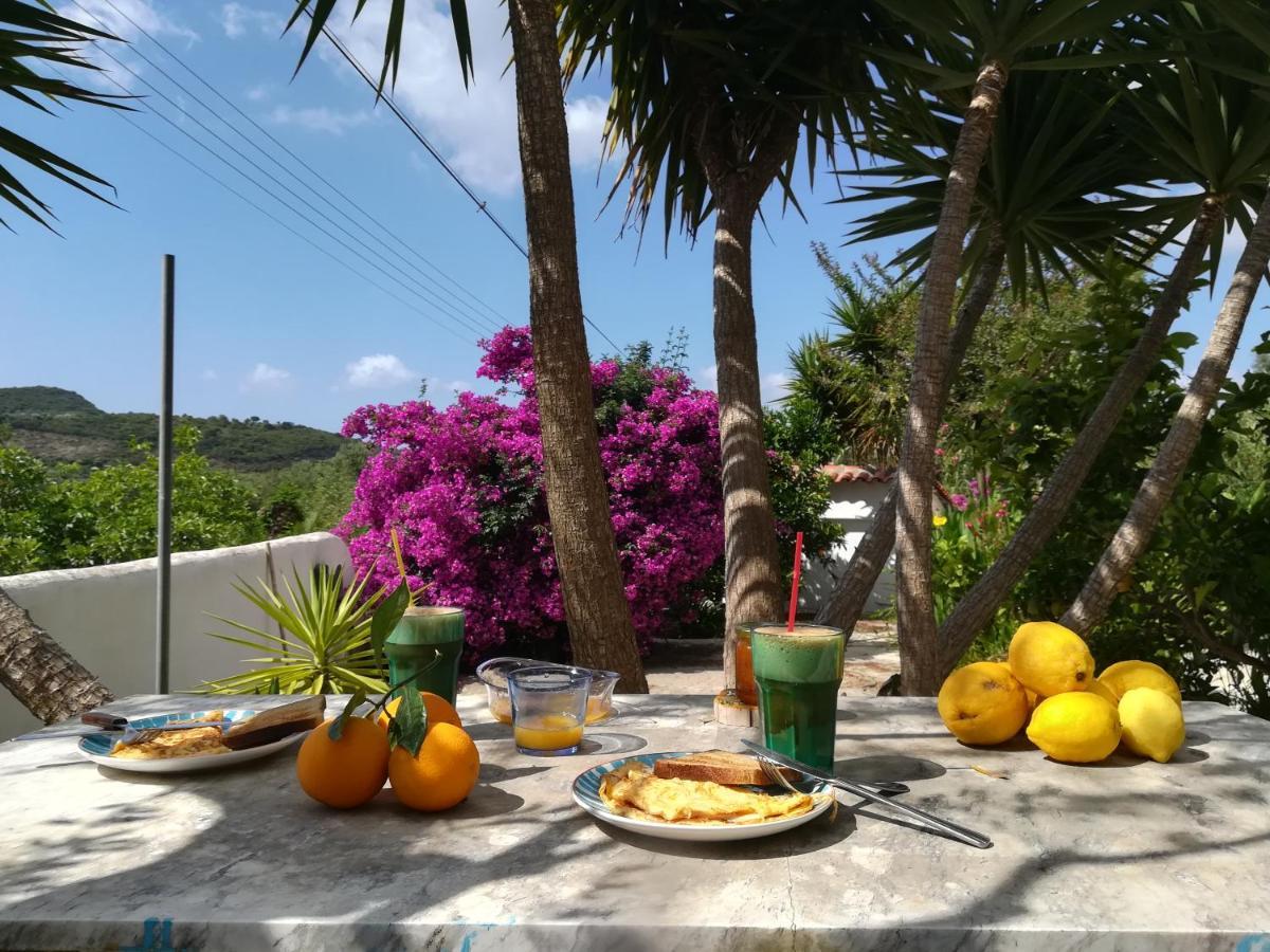 Lemon Tree Cottage Finikounta Dış mekan fotoğraf