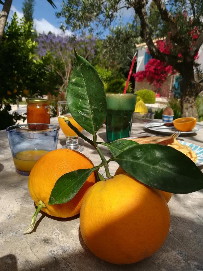 Lemon Tree Cottage Finikounta Dış mekan fotoğraf