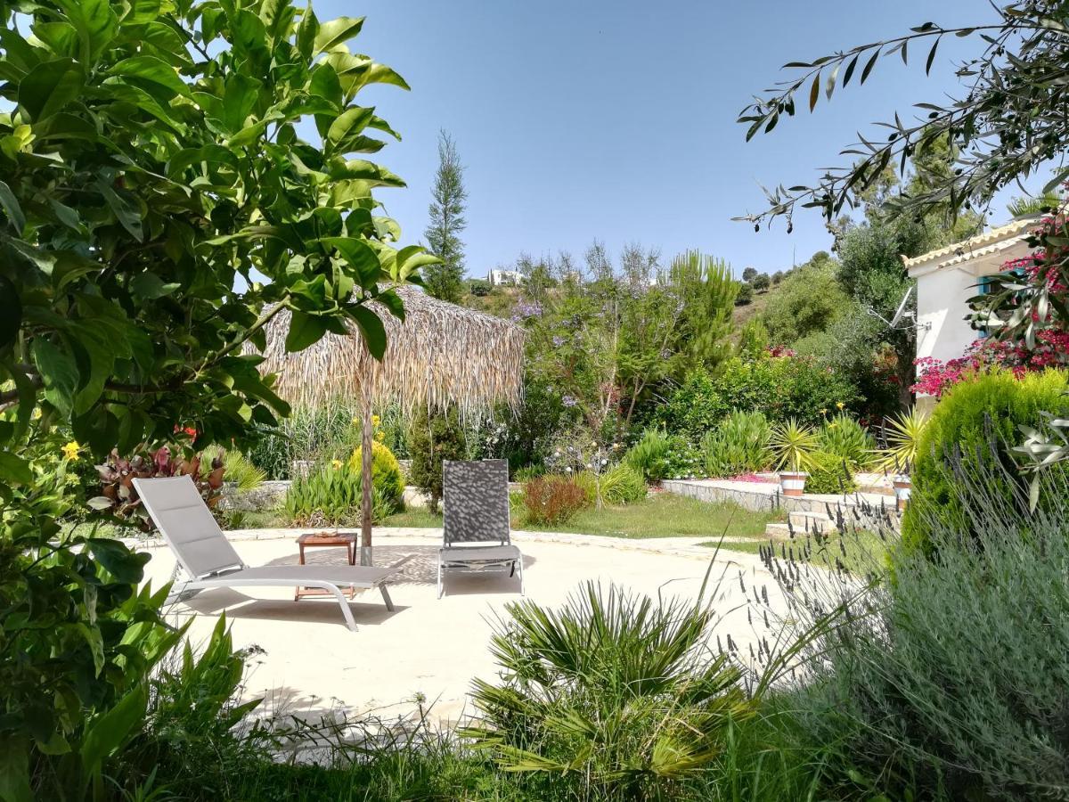 Lemon Tree Cottage Finikounta Dış mekan fotoğraf