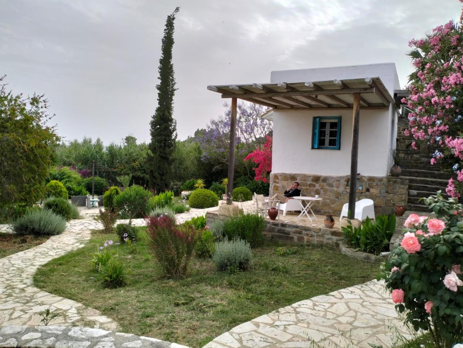 Lemon Tree Cottage Finikounta Dış mekan fotoğraf