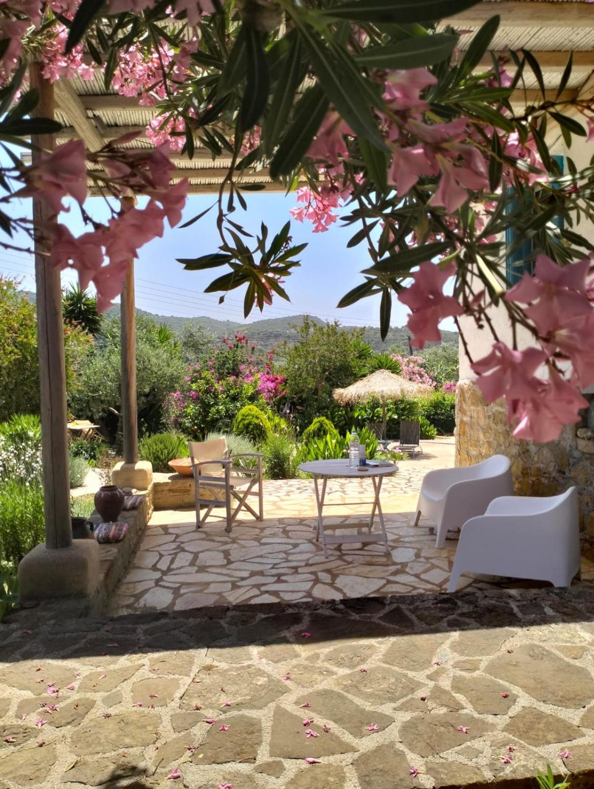 Lemon Tree Cottage Finikounta Dış mekan fotoğraf