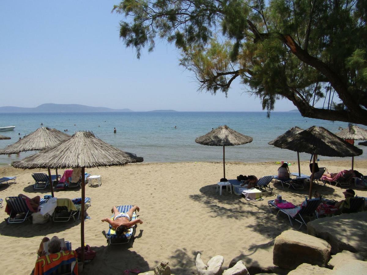 Lemon Tree Cottage Finikounta Dış mekan fotoğraf
