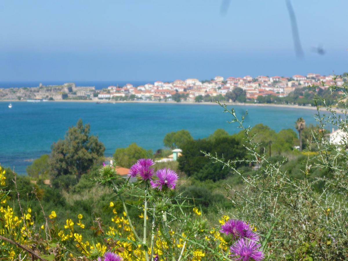 Lemon Tree Cottage Finikounta Dış mekan fotoğraf
