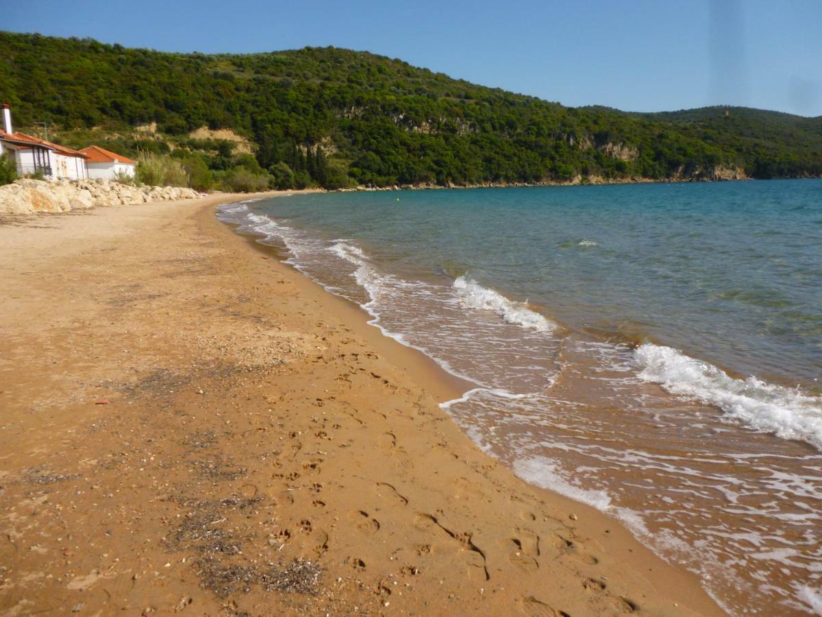 Lemon Tree Cottage Finikounta Dış mekan fotoğraf
