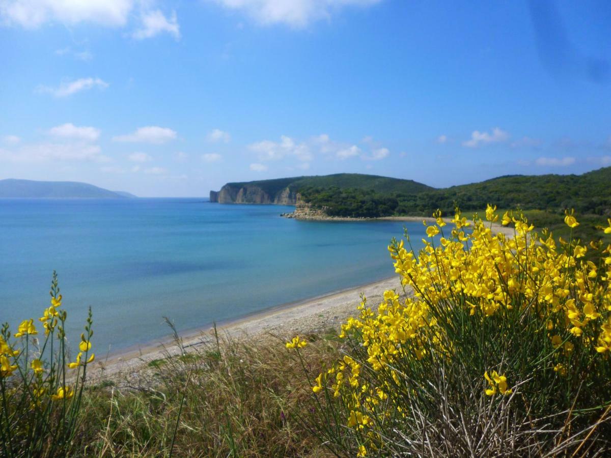 Lemon Tree Cottage Finikounta Dış mekan fotoğraf
