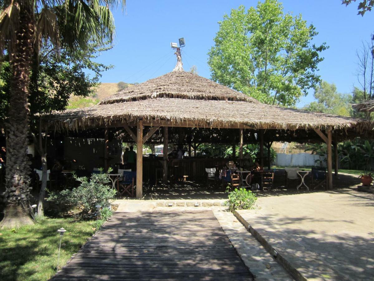 Lemon Tree Cottage Finikounta Dış mekan fotoğraf