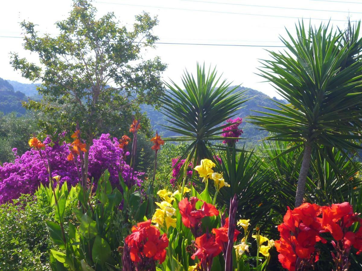 Lemon Tree Cottage Finikounta Dış mekan fotoğraf