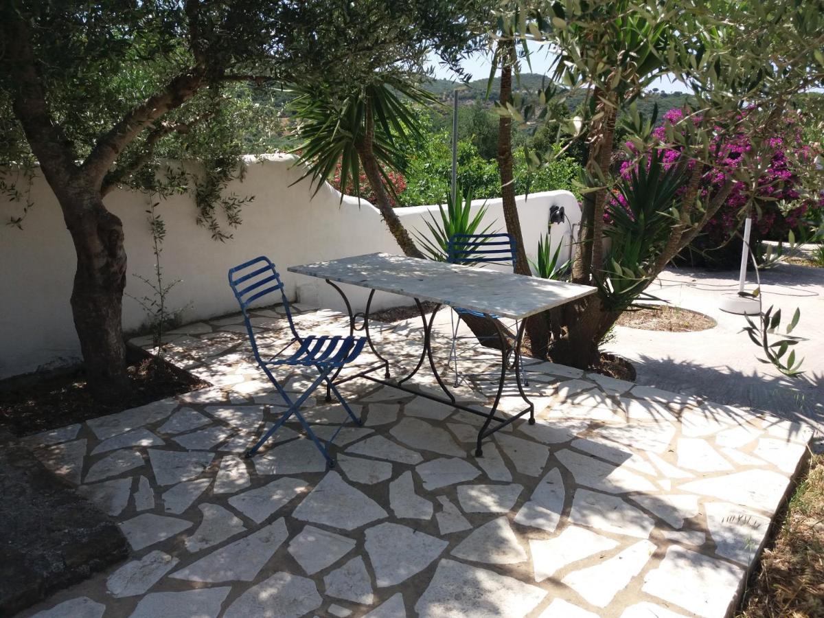 Lemon Tree Cottage Finikounta Dış mekan fotoğraf